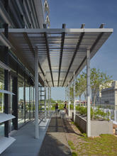 Roof terraces provide users with access to fresh air and collect rainwater runoff for remediation and reuse. - Photo Credit: Brad Feinknopf
