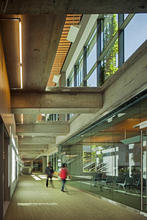 Daylight penetrates to underground conference level. - Photo Credit: Nic Lehoux