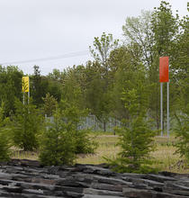 Tree Plantings - Photo Credit: Frank Ooms